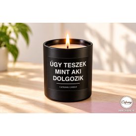 Úgy teszek mint aki dolgozik