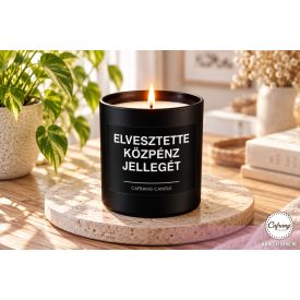 Elvesztette közpénz jellegét