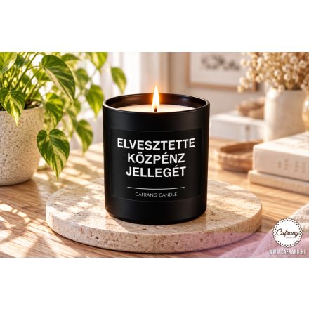 Elvesztette közpénz jellegét
