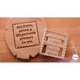 Emlékszel mikor a véleményed kértem? Én sem