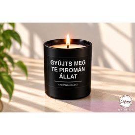 Gyújts meg te piromán állat