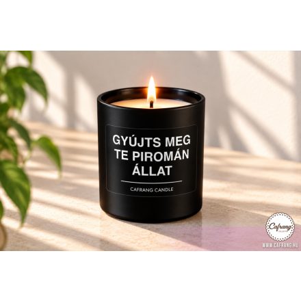 Gyújts meg te piromán állat
