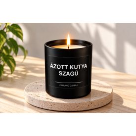 Ázott kutya szagú